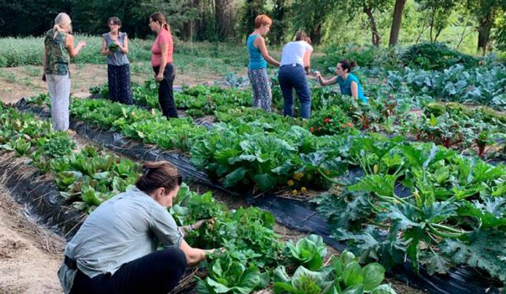 Da Trebaseleghe a Resana, “ragazze in campo”