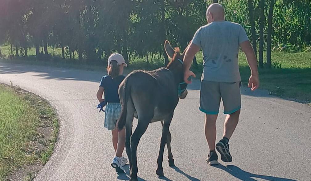 A Cavriè gli amici degli asinelli