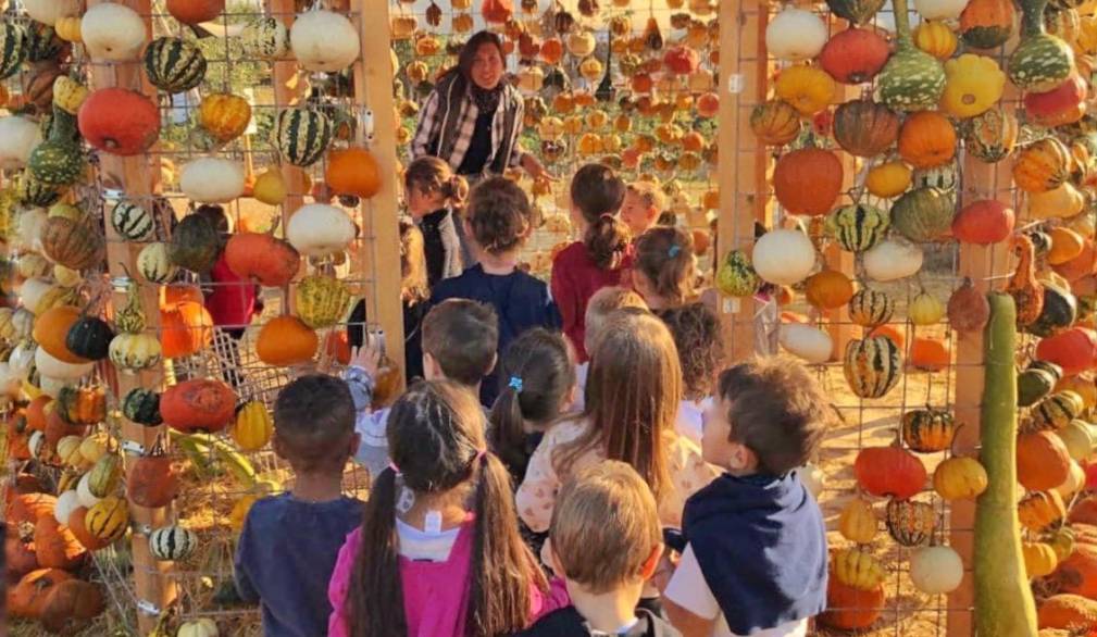 Il villaggio delle zucche di Nonno Andrea