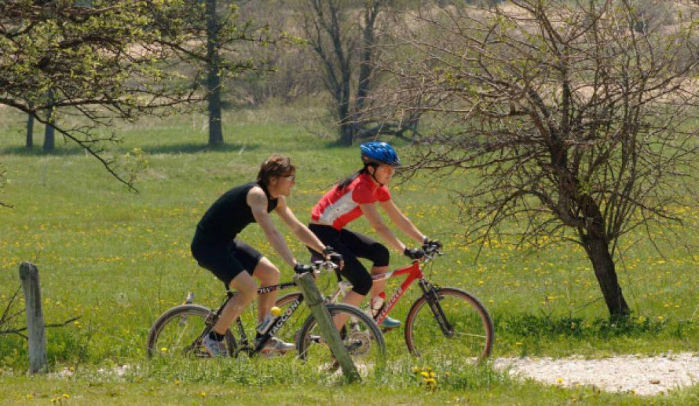 Bicicletta che exploit! Veneto e Treviso ai vertici nella filiera delle due ruote