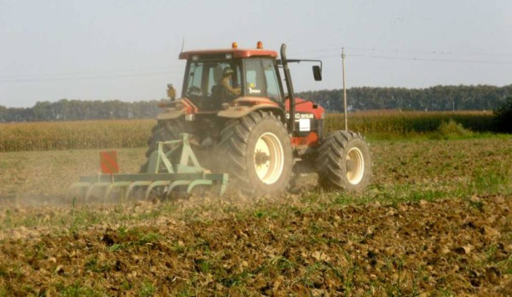 Giorno della terra. La Coldiretti denuncia: in Italia in 20 anni ridotti del 15 per cento i terreni agricoli