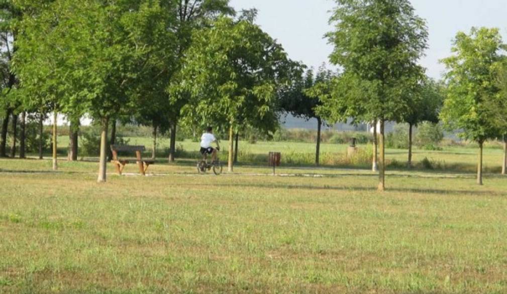 A San Donà un angolo di foresta veneta