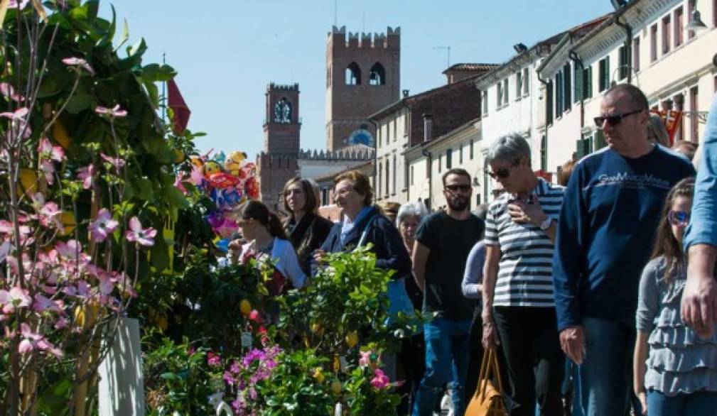 Noale in Fiore: festa di primavera