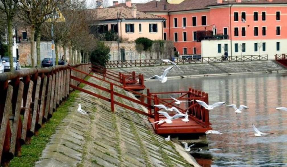 Sicurezza: telecamere anche lungo la restera e nei quartieri di Treviso