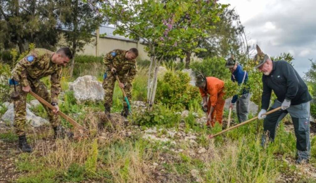 Militare, o civile... è una leva che piace