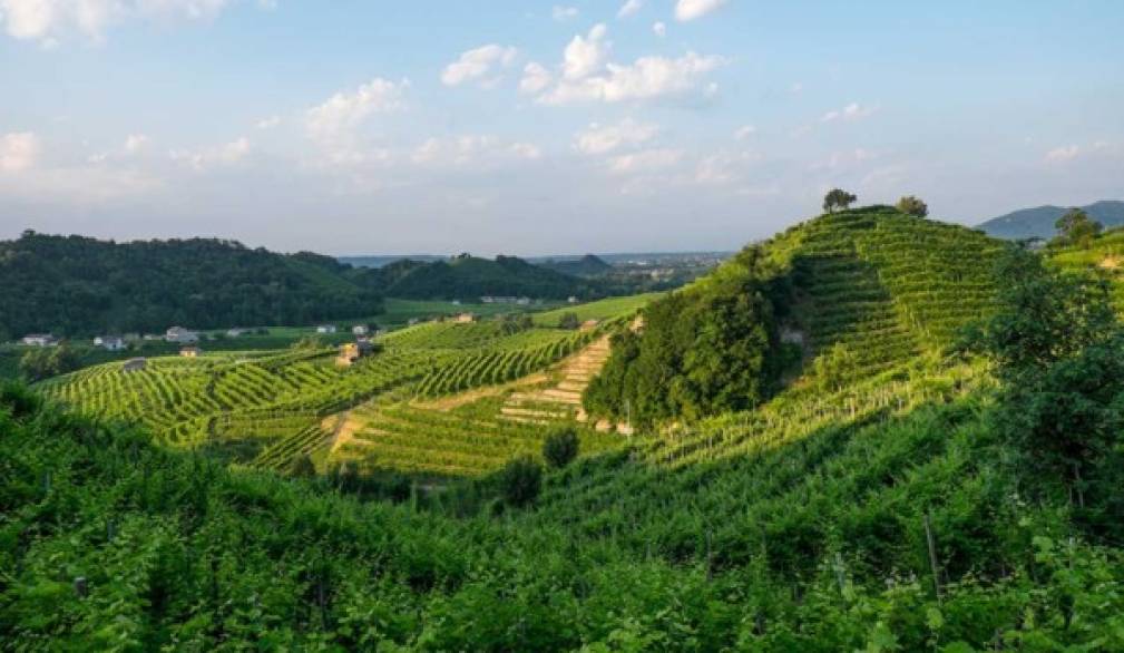 Prosecco e candidatura Unesco. La soluzione migliore? Restringere l'area