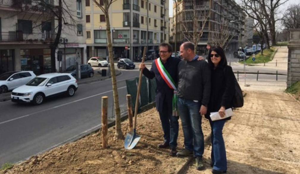 Treviso: 93 nuovi alberi sulle Mura