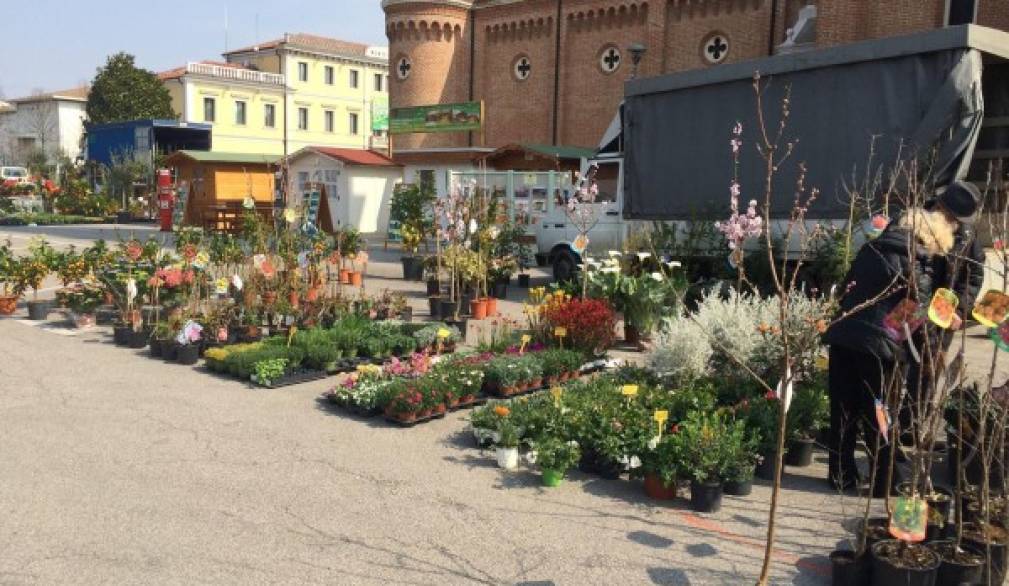 Festa dei fiori a Trebaseleghe