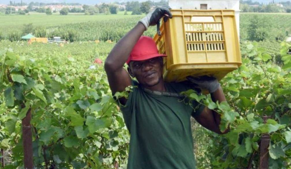 Regolarizzazione braccianti, Caritas: &quot;Risultato positivo&quot;