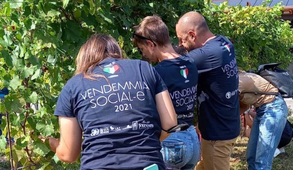 Parte da Monfumo la vendemmia social-e 2022