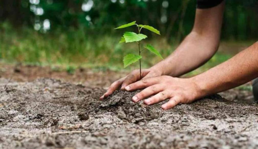 Castellana: l'agenda dei Comuni è sempre più verde