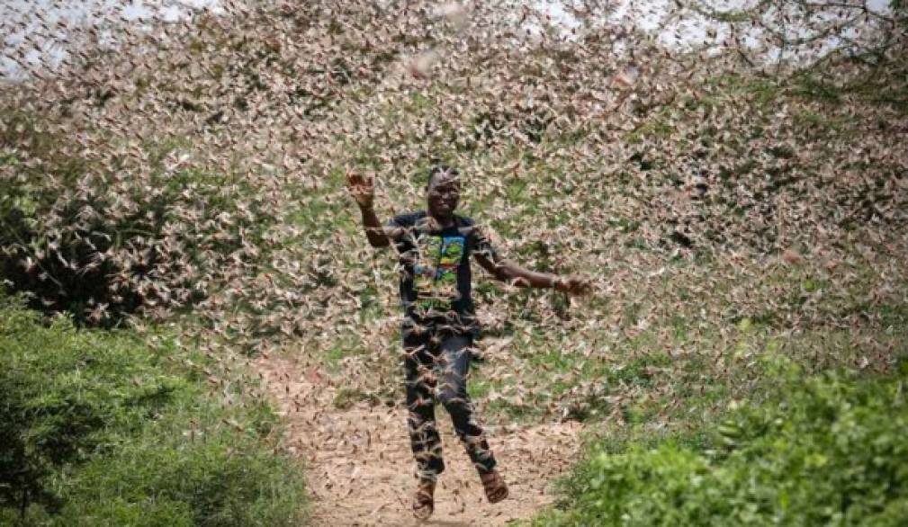 Cornuda sostiene l'Etiopia in emergenza