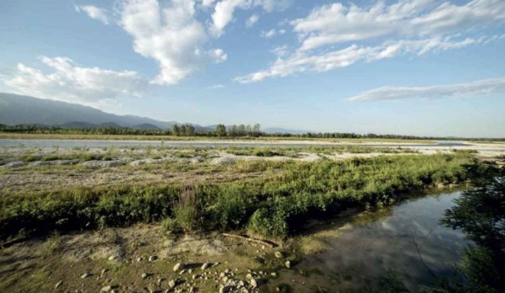 Grave del Piave, coordinamento contro le casse