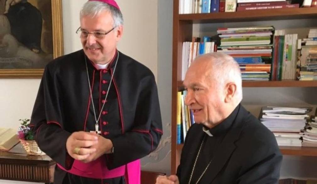 Silvano Maria Tomasi nuovo cardinale: la gioia del vescovo Michele e di tutta la diocesi di Treviso