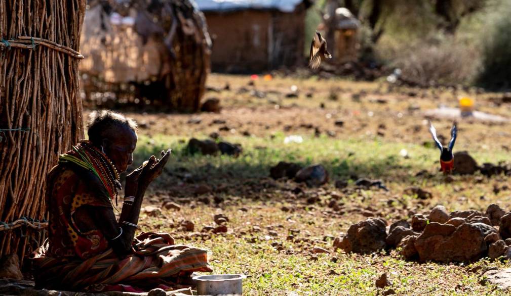 Crisi alimentare in Kenya