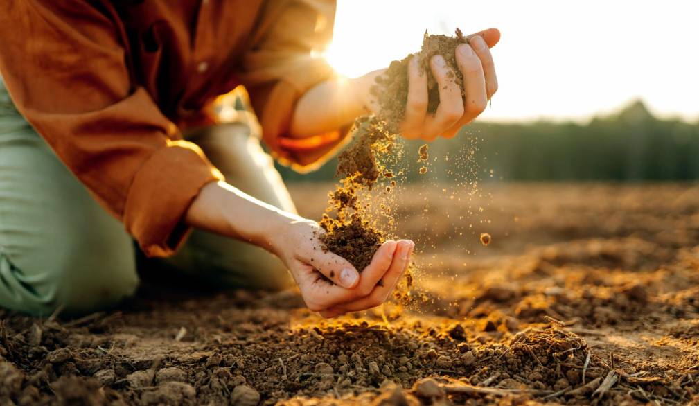 La terra è per tutti