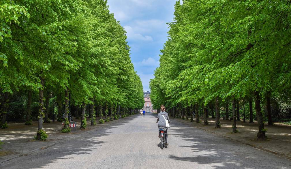 Anche ciclisti e pedoni devono rispettare le regole stradali