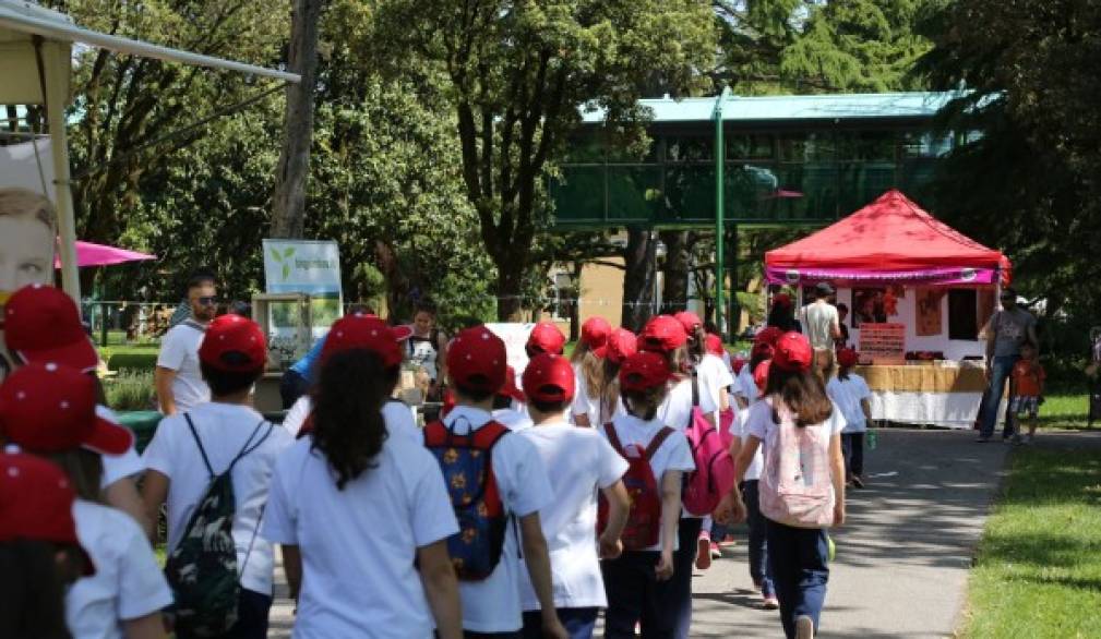 Quattro passi nello sviluppo sostenibile: mille studenti in piazza a Treviso martedì 10