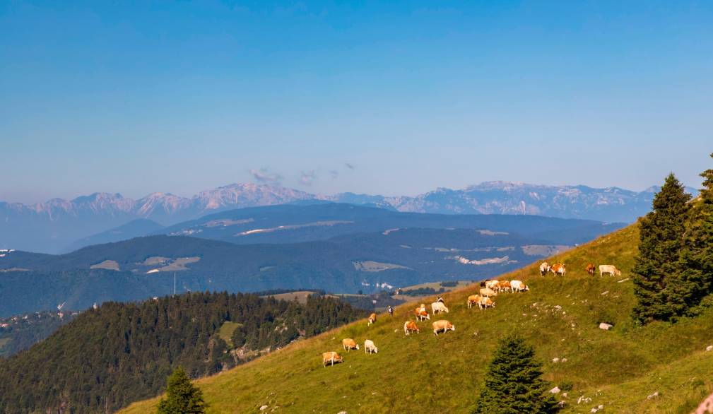 Giornata del Creato: sperare e agire insieme