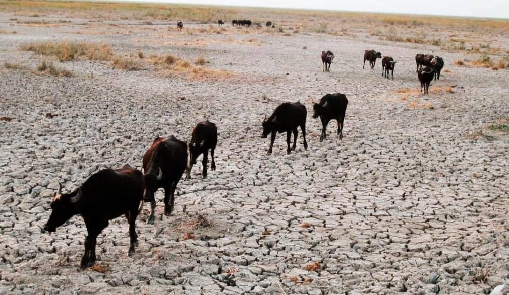 A rischio siccità la Mezzaluna fertile, culla dei Sumeri