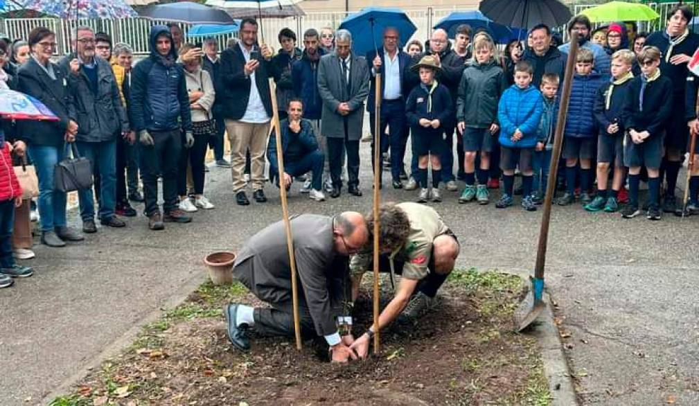 La piantumazione del carpino a Montebelluna - Foto pagina Facebook di Andrea Berton