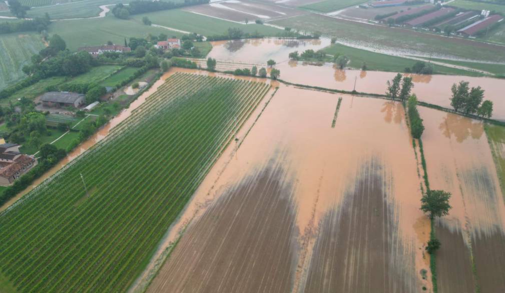 Cambiamenti climatici e agricoltura: produzioni compromesse