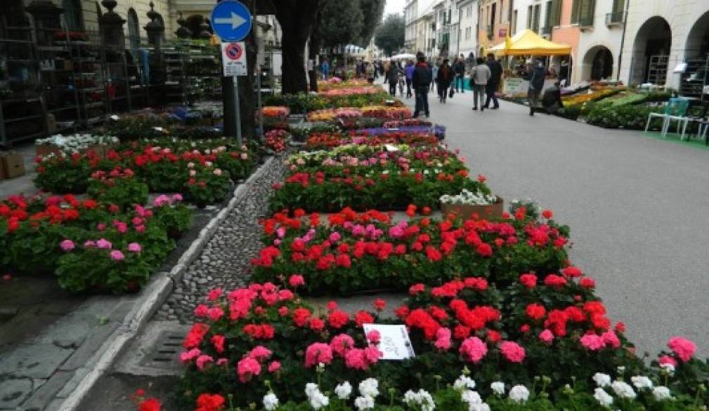 A spasso tra fiori, storia e cultura