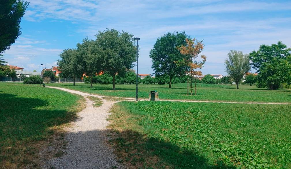 Centosessanta nuovi alberi saranno messi a dimora a San Donà grazie al contributo dei cittadini