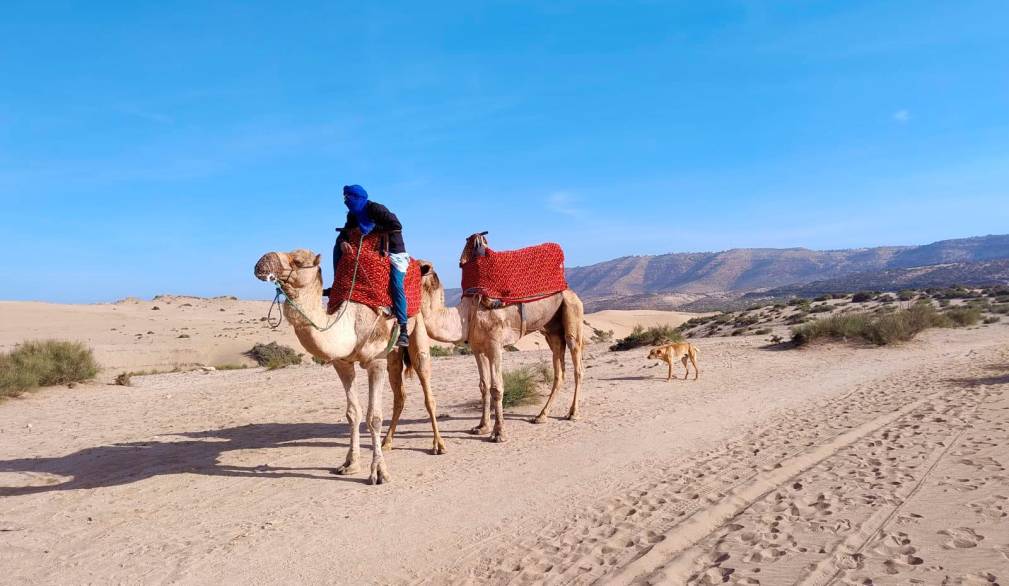 Dall’Italia al Senegal su due carri funebri per regalare dignità e ascolto