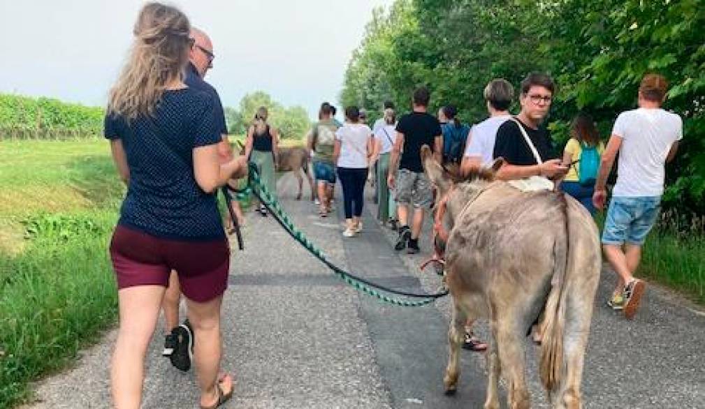 A Cavriè gli amici degli asinelli