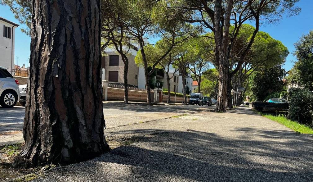 Viale Cesare Battisti, i lavori partono il 26 agosto