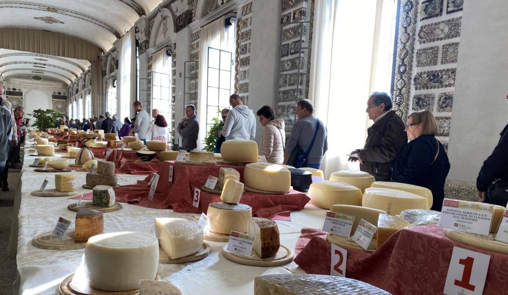 Caseus: oltre cinquecento formaggi in gara per la 19ª edizione