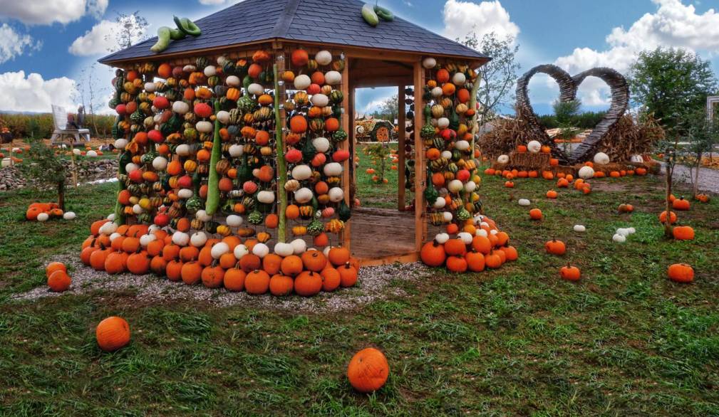 Il villaggio delle zucche di Nonno Andrea