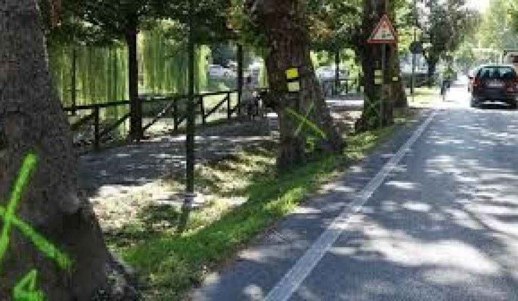 Treviso: controllo della velocità sul Put