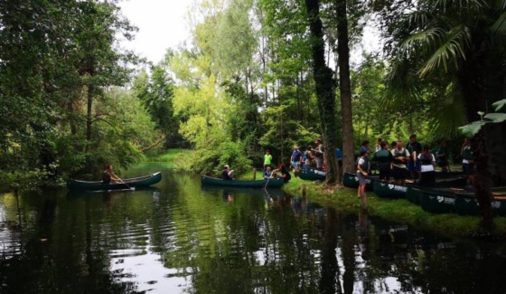 Fiume Sile: conoscerlo per prendersene cura