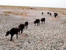 A rischio siccità la Mezzaluna fertile, culla dei Sumeri