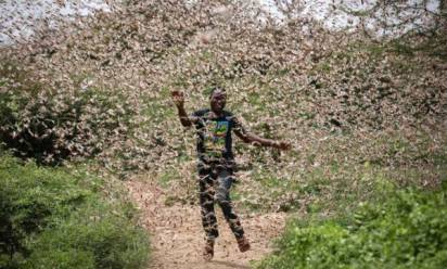 Cornuda sostiene l'Etiopia in emergenza