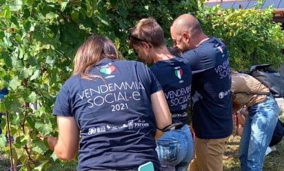 Parte da Monfumo la vendemmia social-e 2022