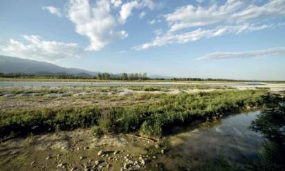 Grave del Piave, coordinamento contro le casse