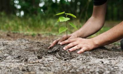 Treviso: pm10 di nuovo alle stelle. Intanto l'Amministrazione rafforza il &quot;piano green&quot;