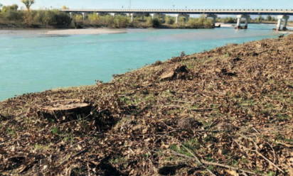 Cimadolmo: &quot;Il taglio degli alberi provoca scempio ambientale&quot;