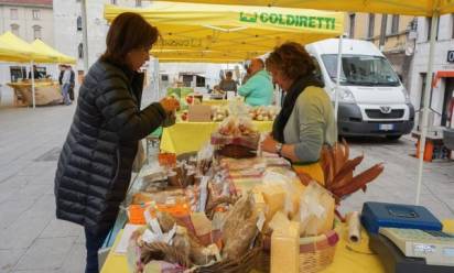 Pane, pizza, dolci di Natale: nei mercati di Campagna Amica i segreti della lievitazione