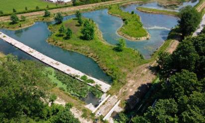 Zero Branco e Scorzè: riqualificazione ambientale lungo lo Zero e il Vernise