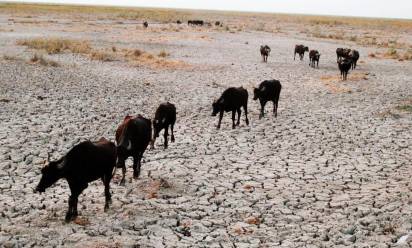 A rischio siccità la Mezzaluna fertile, culla dei Sumeri