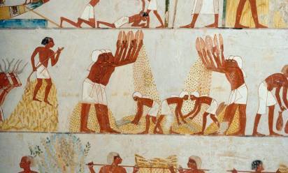 “Raccolto, trebbiatura e ventilazione del grano” (dettaglio), affreschi nel vestibolo della Tomba di Menna, Necropoli di Sheikh Abd el Qurnah, Luxor, Tebe Egitto 18ª Dinastia