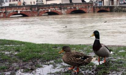 Veneto nella morsa del maltempo: esondazioni in tutto il territorio