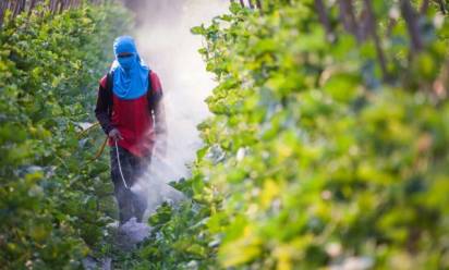 Attenti ai pesticidi!