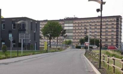 Minorenne abortisce e nasconde il feto in un campo: fatto che lascia sgomenti