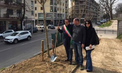 Treviso: 93 nuovi alberi sulle Mura