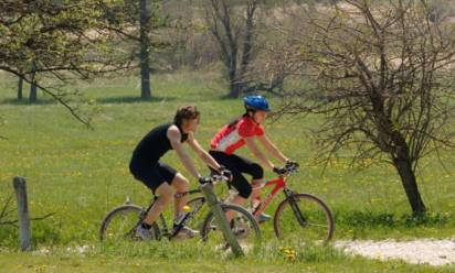 Bicicletta che exploit! Veneto e Treviso ai vertici nella filiera delle due ruote